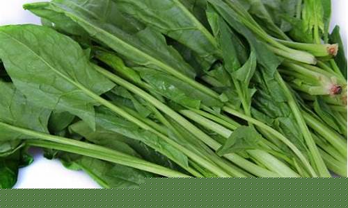 菠菜信息大全(最全菠菜网大全)
