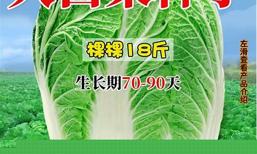 菠菜电玩城官网苹果版：白菜资讯大全