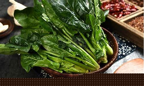 菠菜大全(菠菜大全网)