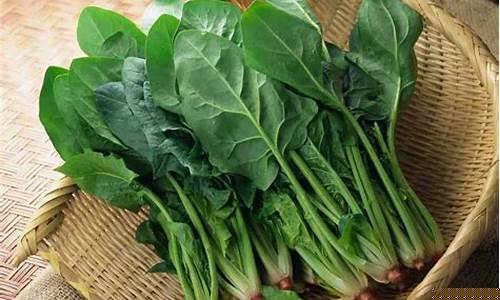 菠菜资源网：线上菠菜入口(线上菠菜评级)
