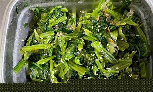 菠菜大全(菠菜大全图片)