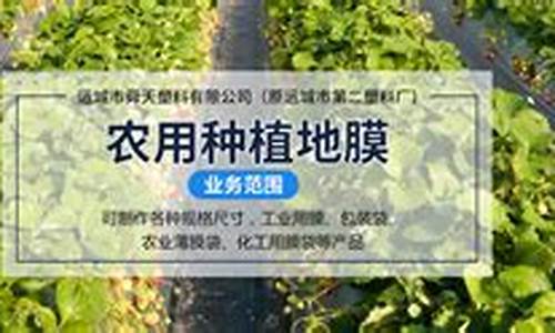 菠菜公司评级：专业菠菜导航官网(228118菠菜导航网2019)