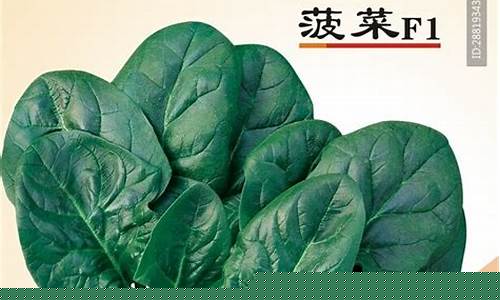 十大菠菜软件：菠菜公司广告(菠菜广告语)