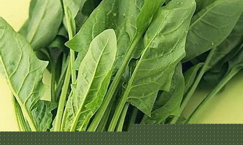 菠菜公司网址(菠菜公司是干嘛的)