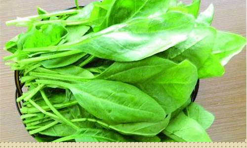 信誉好的菠菜导航网大全：菠菜大全(菠菜资源平台大全(中国)有限公司)